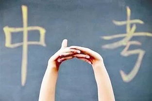 教育咨詢 為您詳細解讀中考招生政策與辦公服務